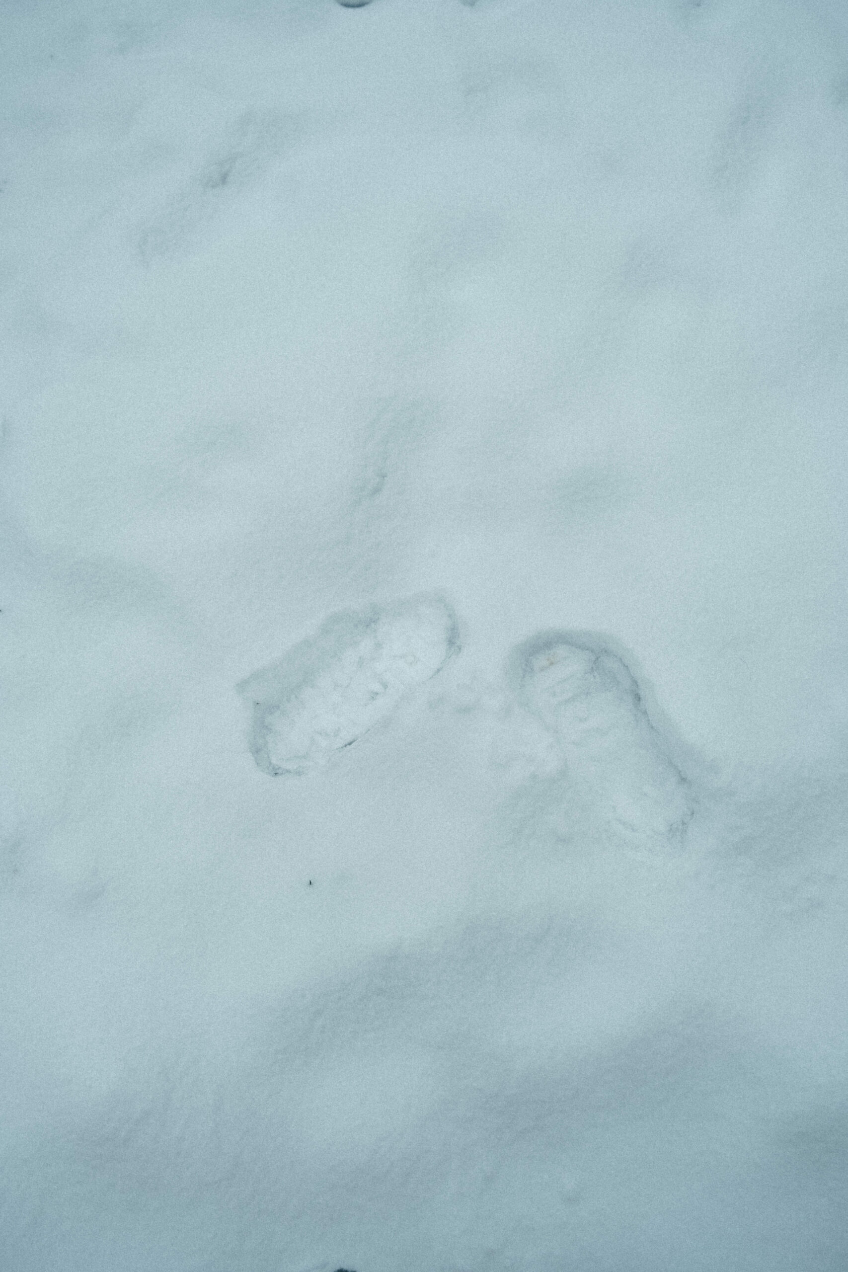 two foot prints in the snow
